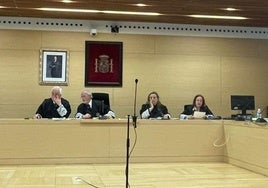 La presidencia de la sala que ha visto el recurso este martes en el TSJ en Burgos.