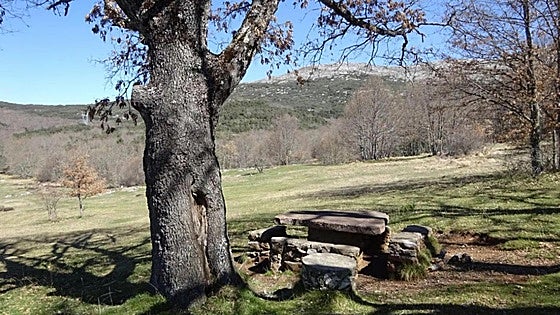 Guardo mima la montaña y el Camino