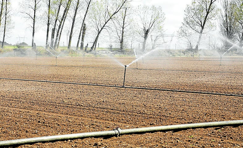 1.300 agricultores se han incorporado a las intervenciones agroambientales