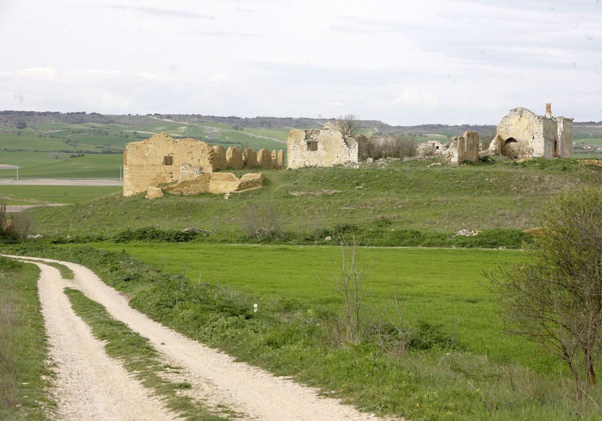 La Diputación destina 301.000 euros a la mejora de caminos rurales en 2025