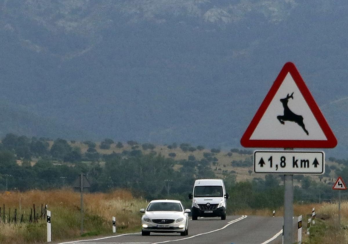Señal que advierte de la presencia de animales en una carretera de Segovia.