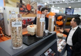 La revolución del biochar
