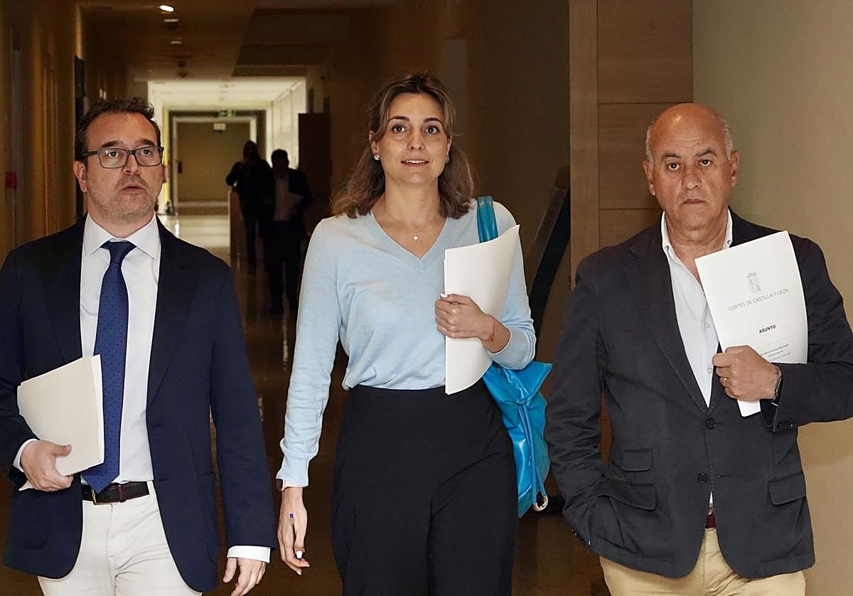 Ricardo Gavilanes y Miguel Ángel García Nieto, del PP, este jueves a su llegada a la Junta de Portavoces.