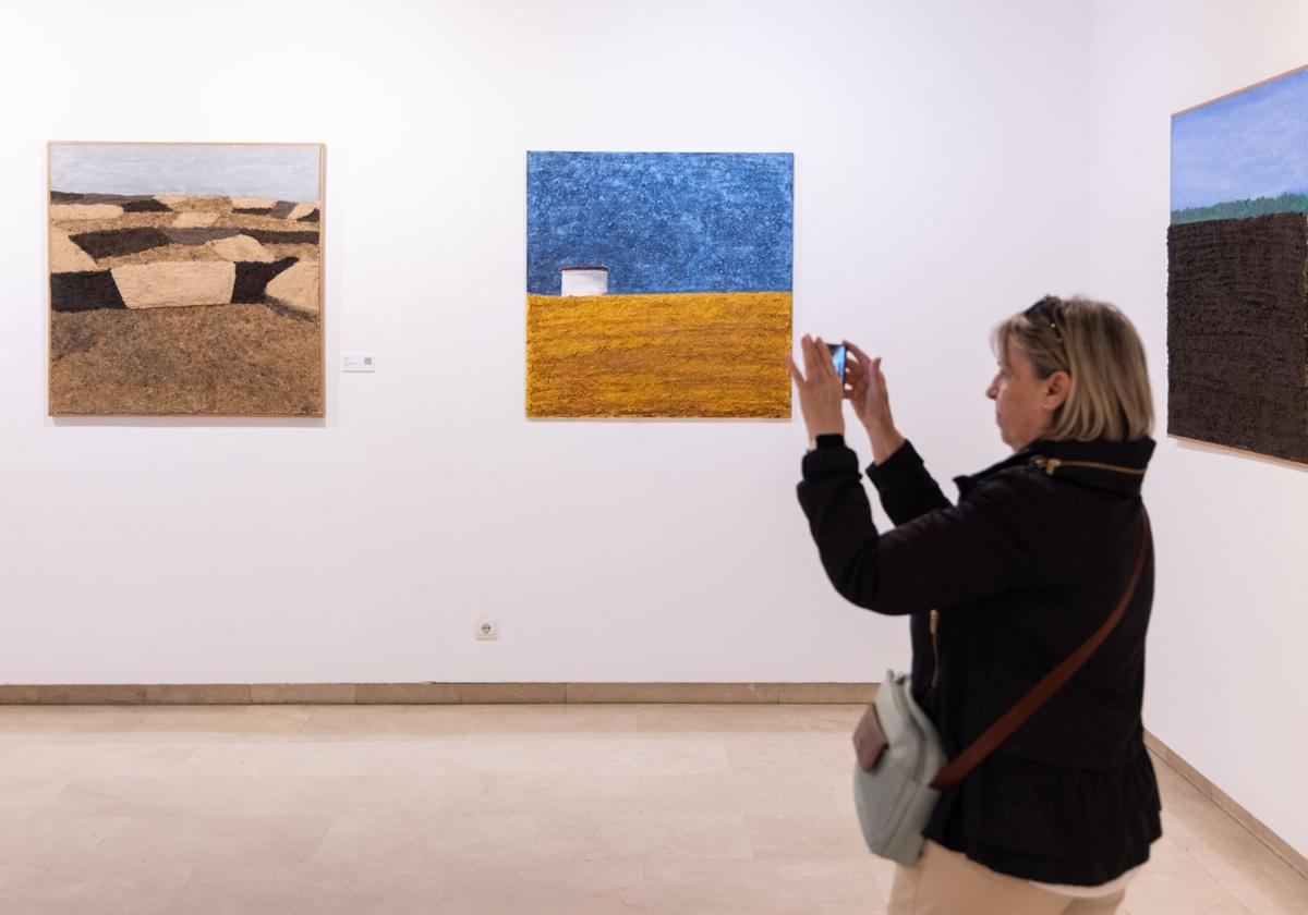 Las imágenes de las obras de Iván Villapecellín en Valladolid