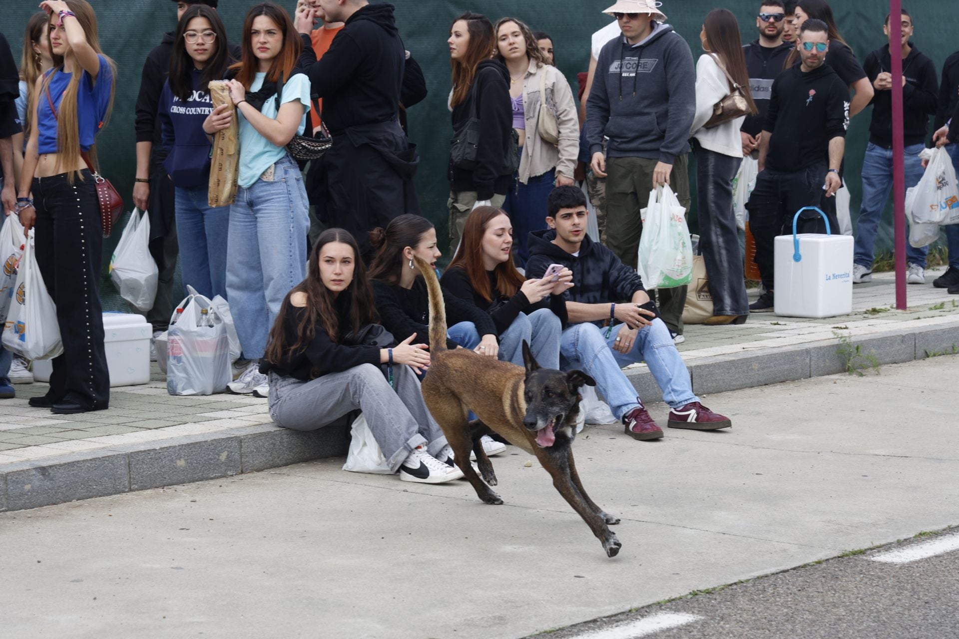 La fiesta de la ITA continúa en el Parque Ribera Sur
