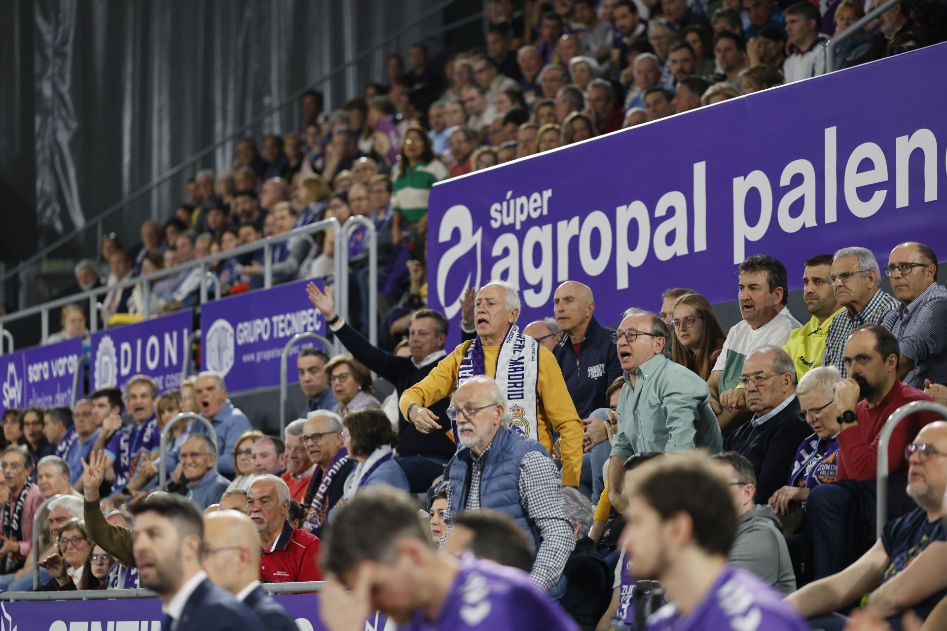 Búscate en las gradas del Súper Agropal Palencia-Betis