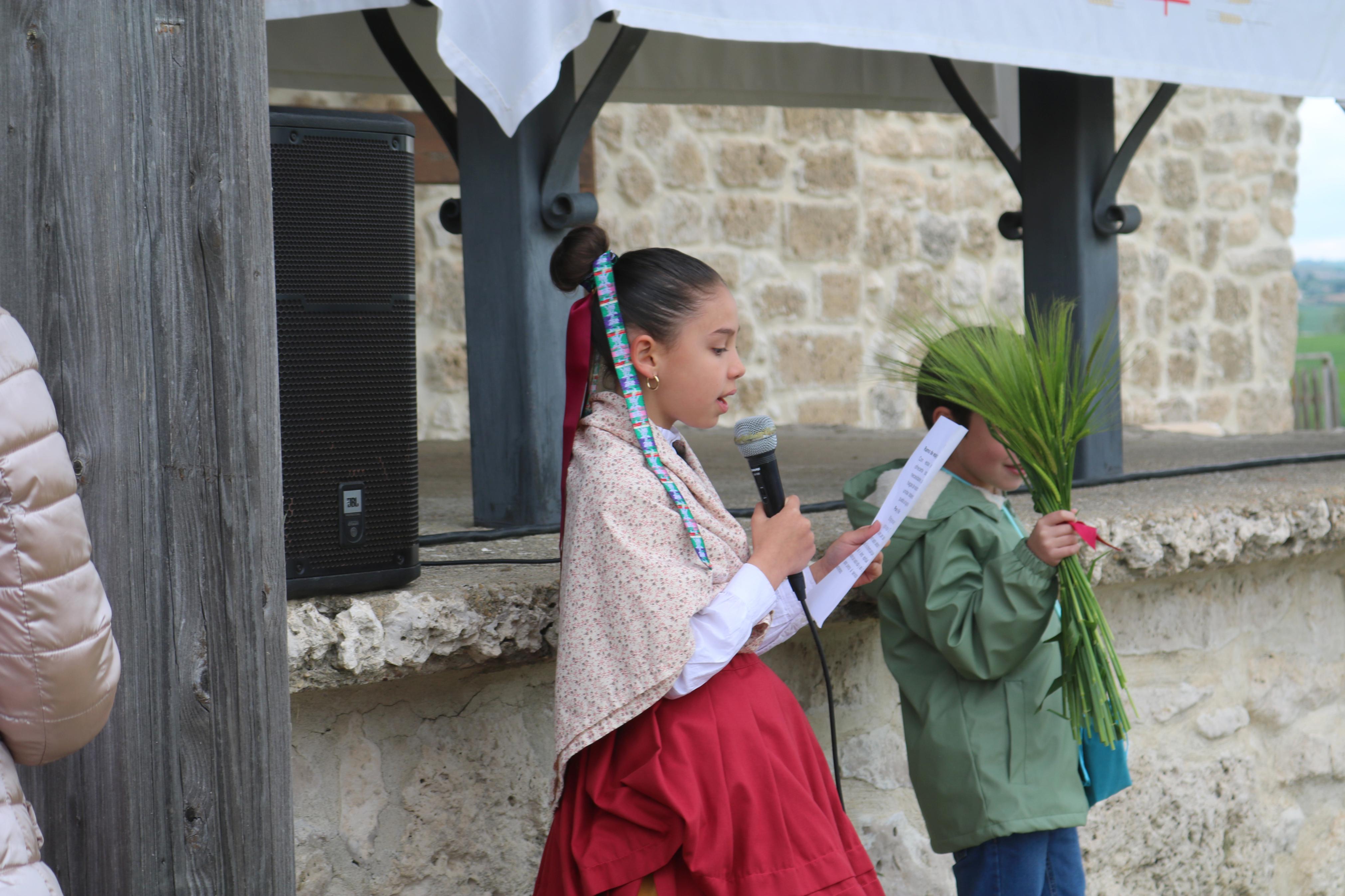Fiestas de San Gregorio en Baltanás