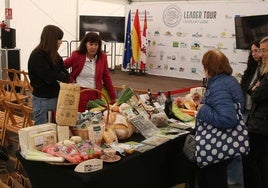 Uno de los proyectos expuestos este fin de semana en la Plaza Mayor de Segovia.
