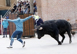 Toro de la Casita en Alaejos.