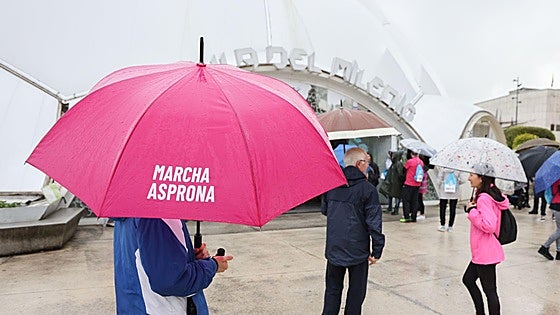 La cancelación de la Marcha Asprona, en imágenes
