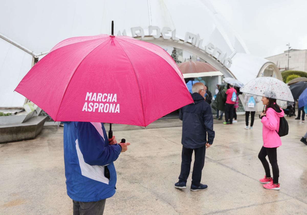 La cancelación de la Marcha Asprona, en imágenes