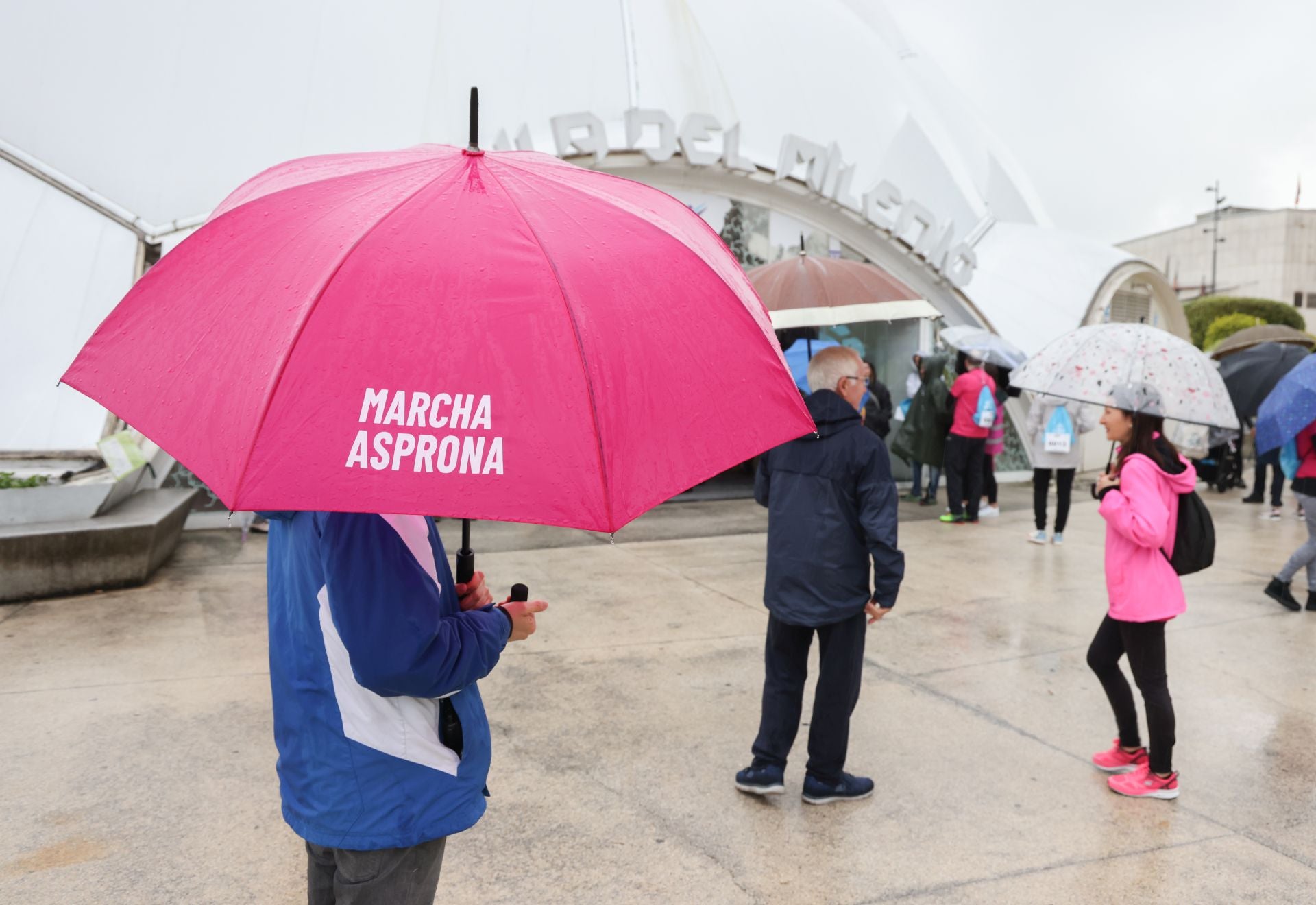La cancelación de la Marcha Asprona, en imágenes