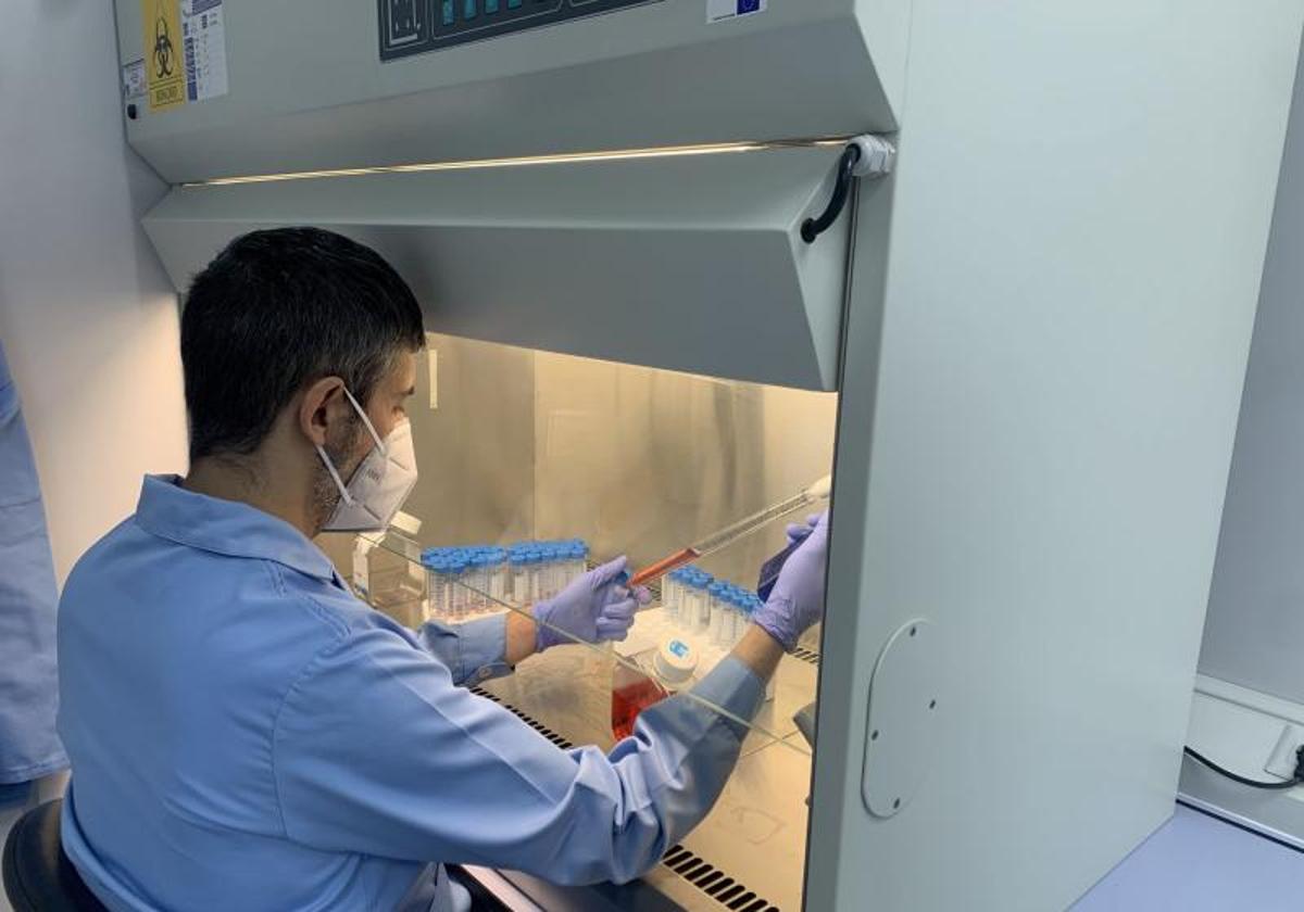 Un profesional del Instituto Tecnológico Agrario de Castilla y León elebora un kit de PCR.