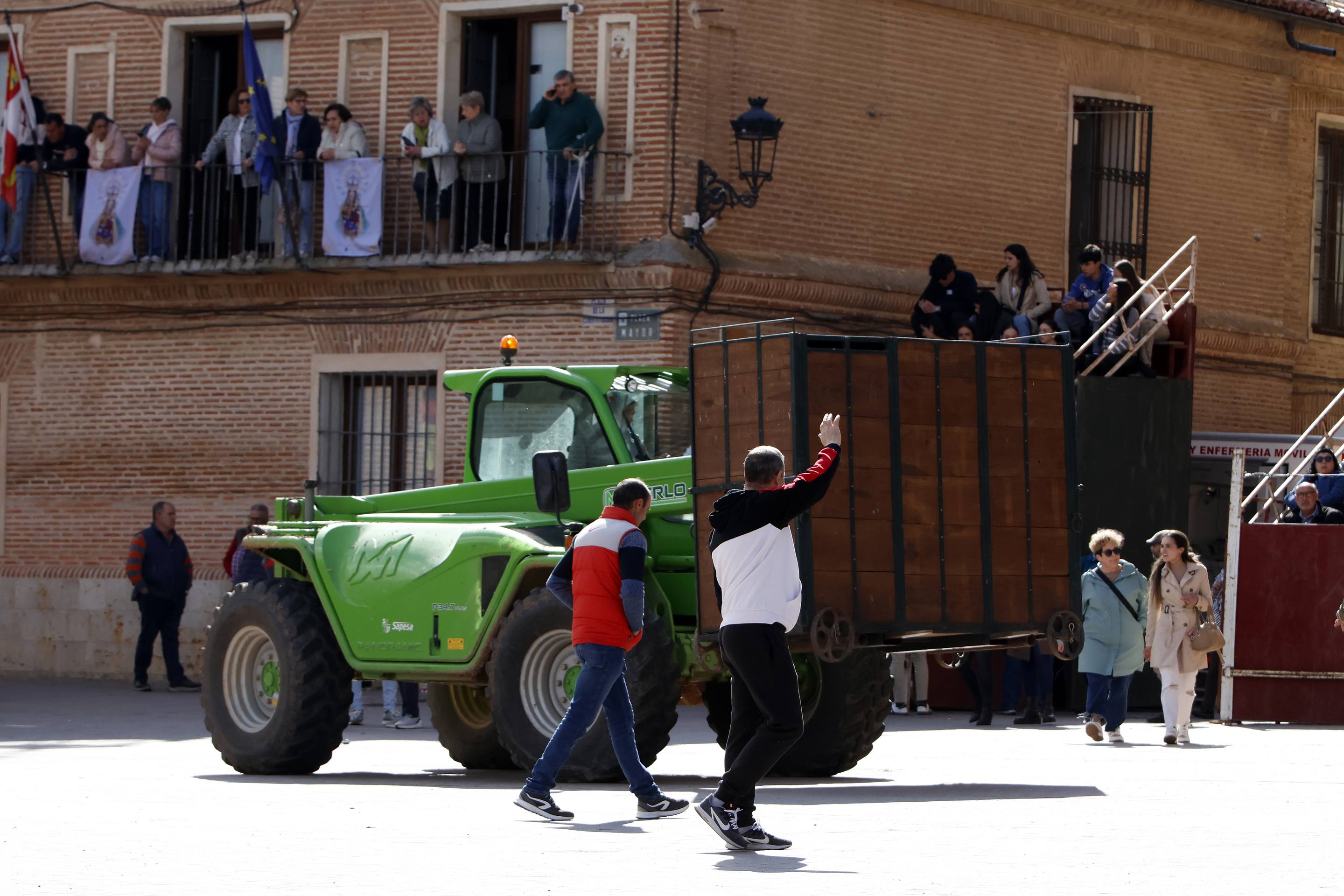 El Toro de la Casita de Alaejos, en imágenes