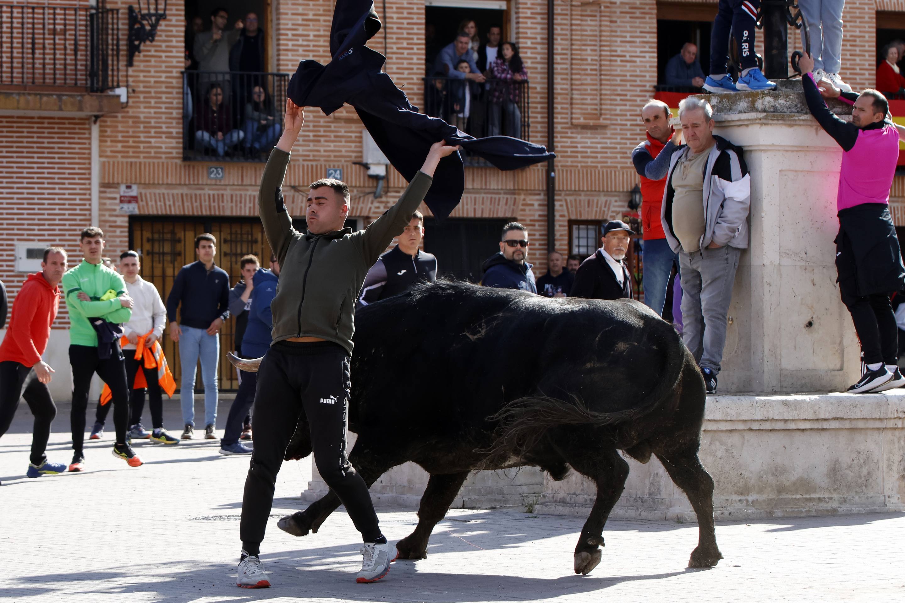 El Toro de la Casita de Alaejos, en imágenes