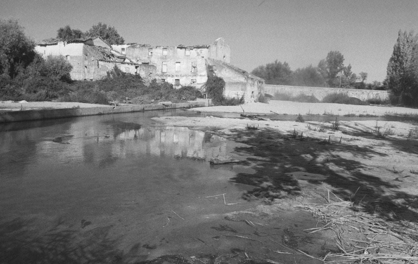 Riberas del Cega. 1 de octubre de 1996.