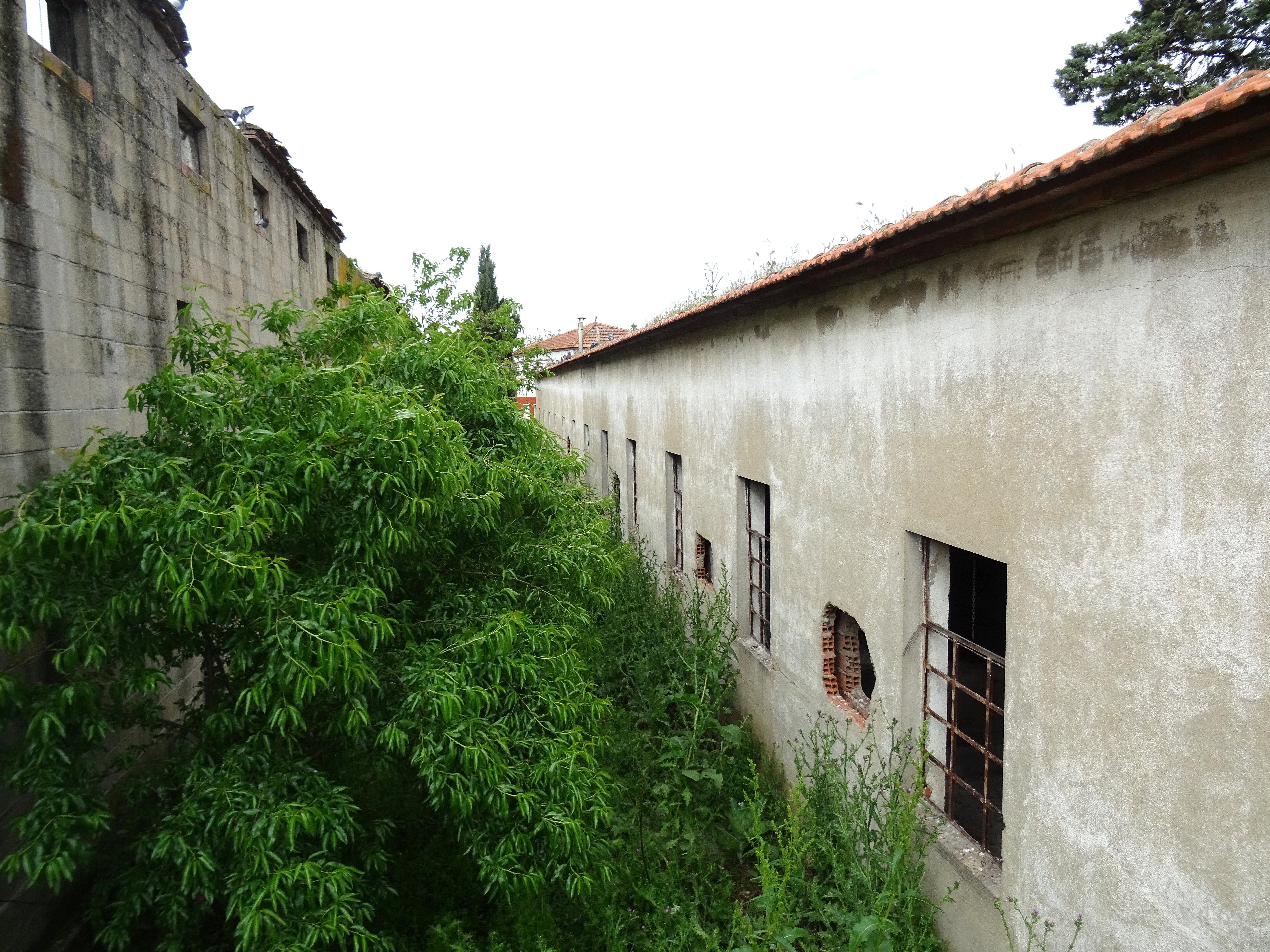 Este es el estado actual de la conocida como Granja Luisa, en Valladolid