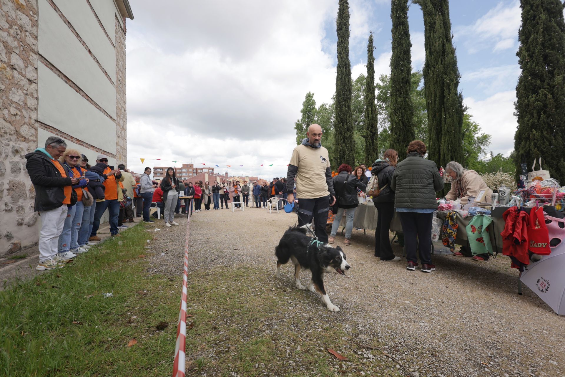 Los bailes latinos en Portugalete y el desfile de perros de San Isidro, en imágenes