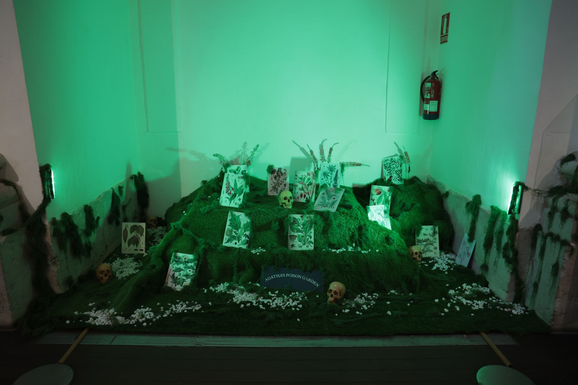 La exposición de Agatha Christie en Valladolid