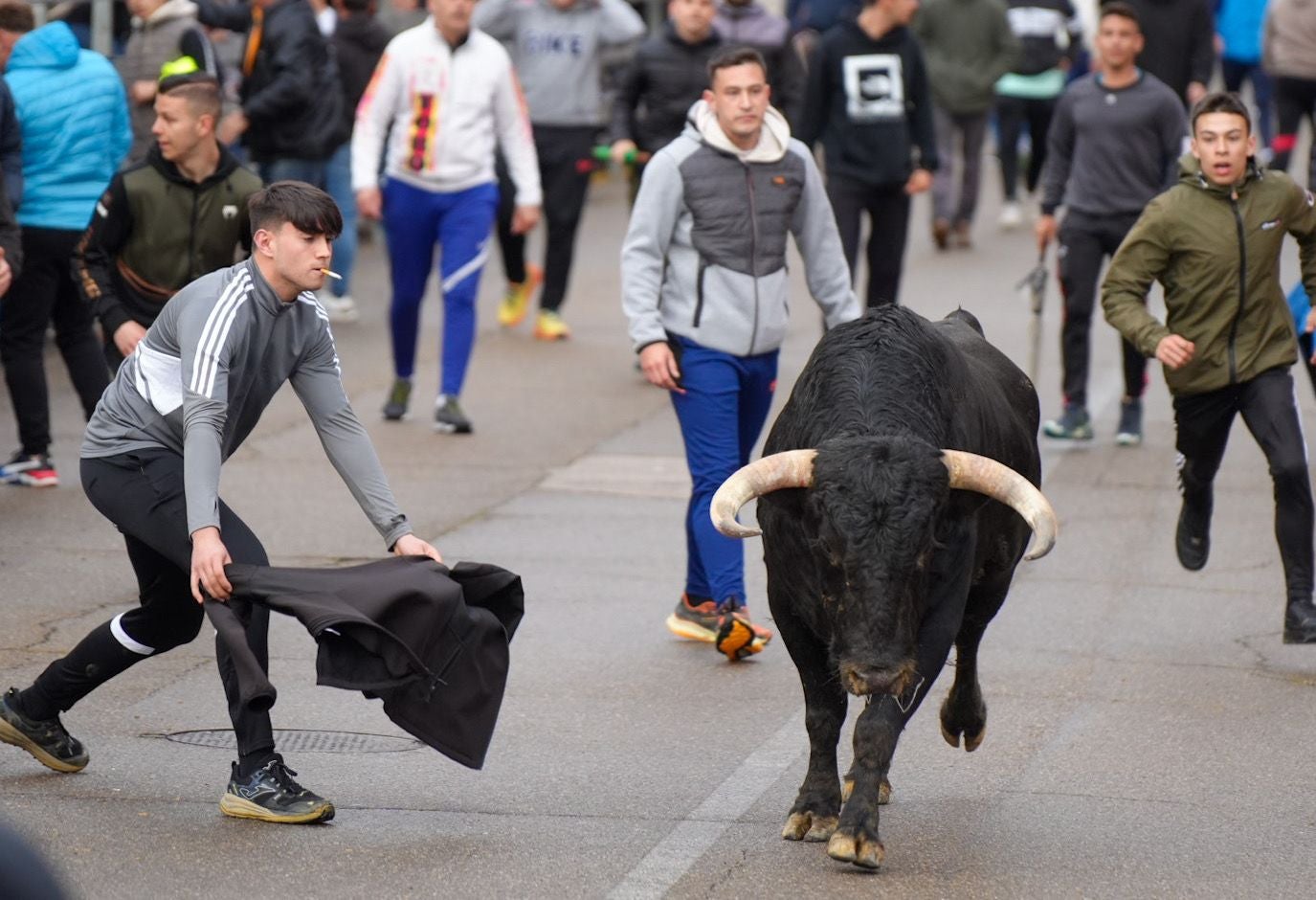 Las imágenes del encierro en Laguna de Duero por San Pedro Regalado