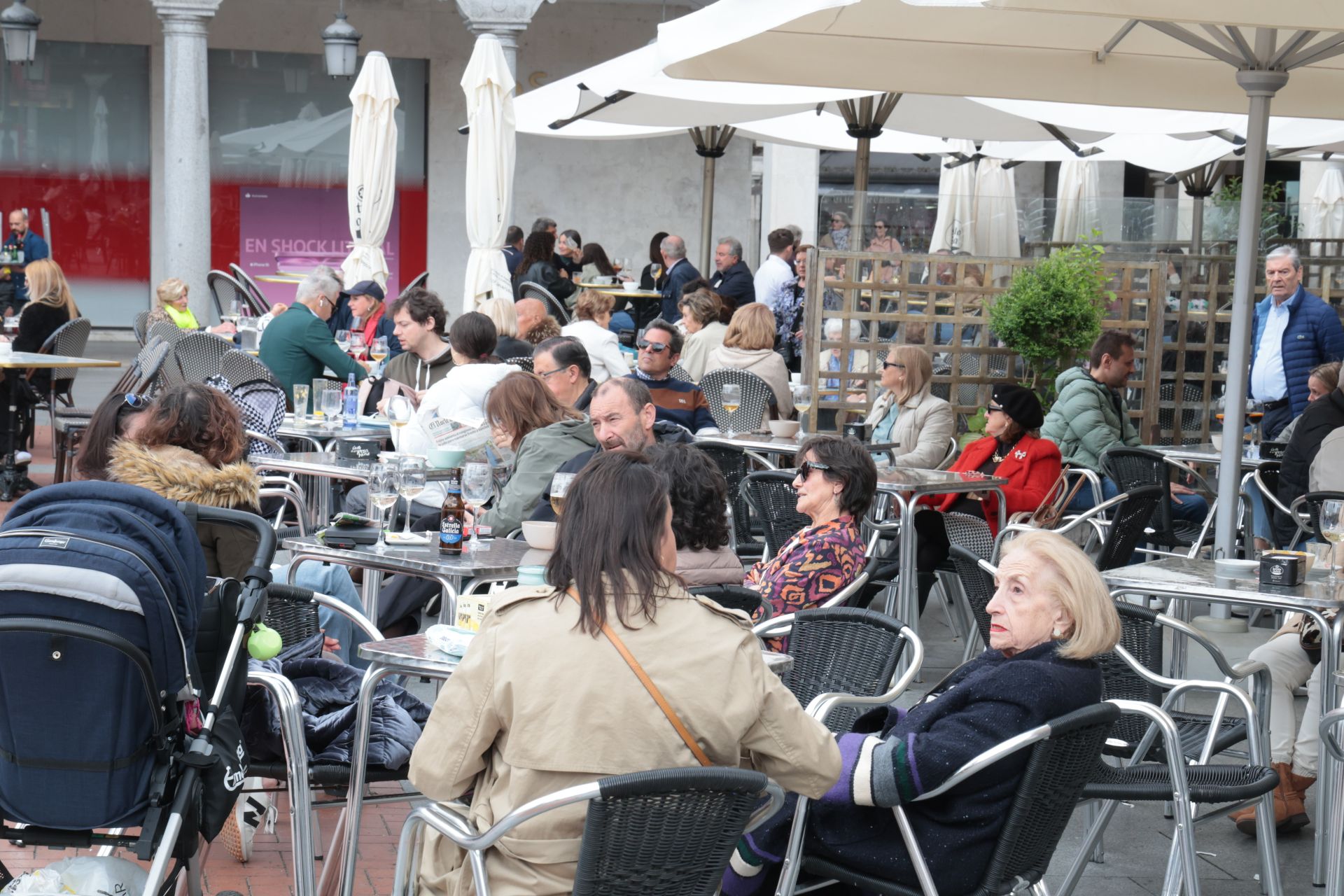 El ambiente de San Pedro Regalado, en imágenes