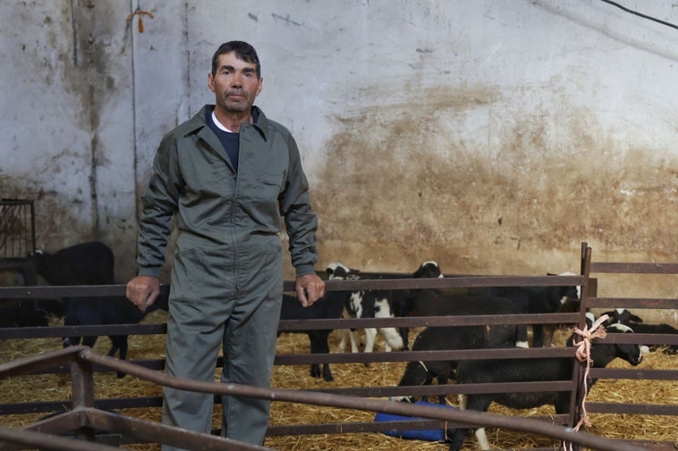 Fernando Díez posando con sus ovejas en la majada de Matilla de los Caños