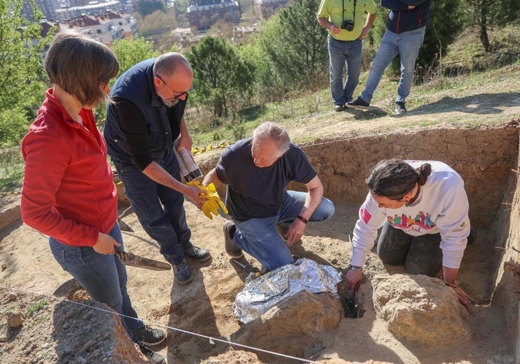Restauradores y arqueólogos encapsulan las piezas del mastodonte el pasado 9 de abril para trasladarlas al Museo de Valladolid.