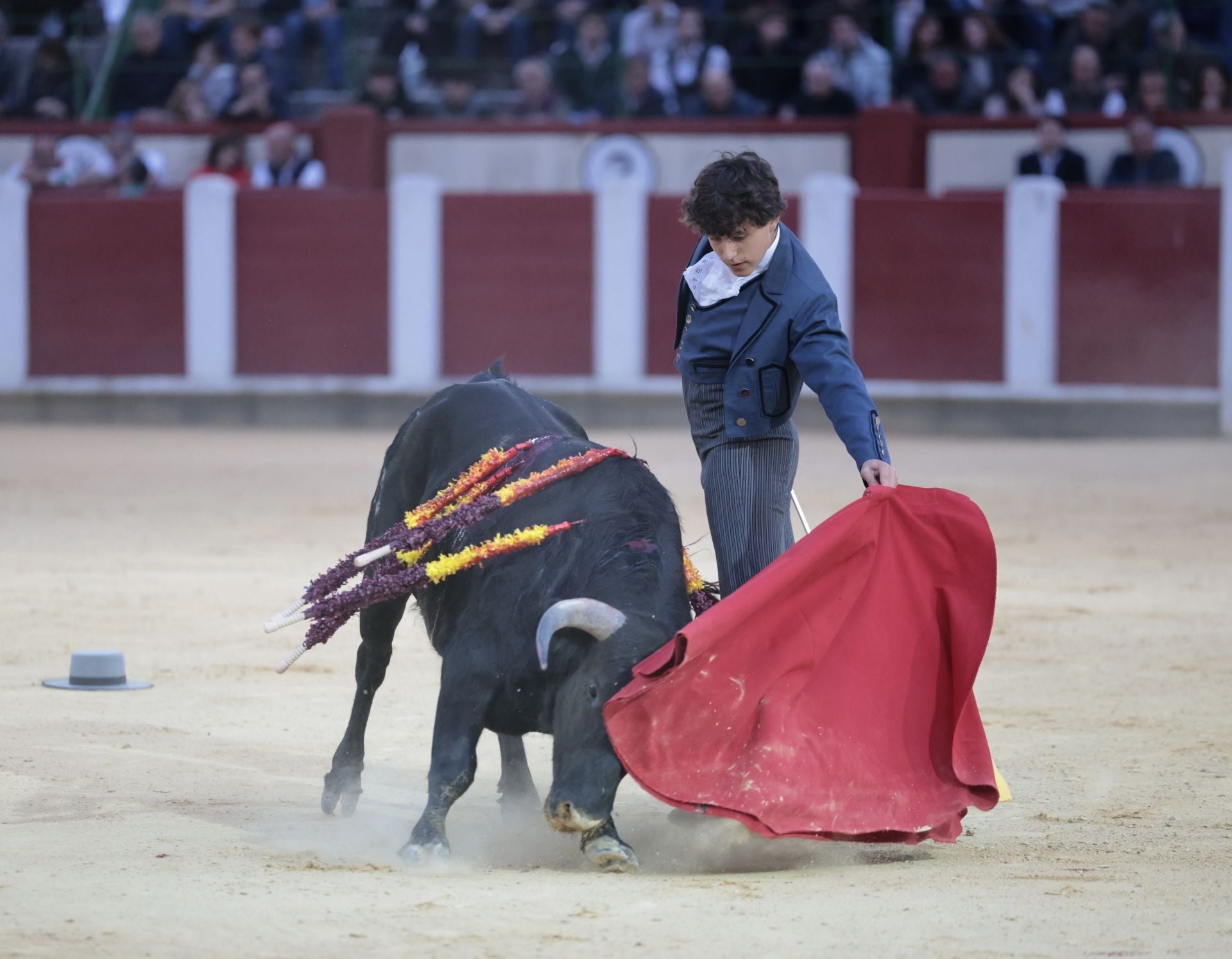 La novillada de San Pedro Regalado, en imágenes