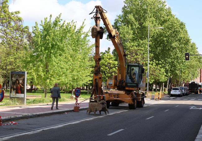 Una grúa ocupa las plazas de aparcamiento durante los trabajos en Arca Real.