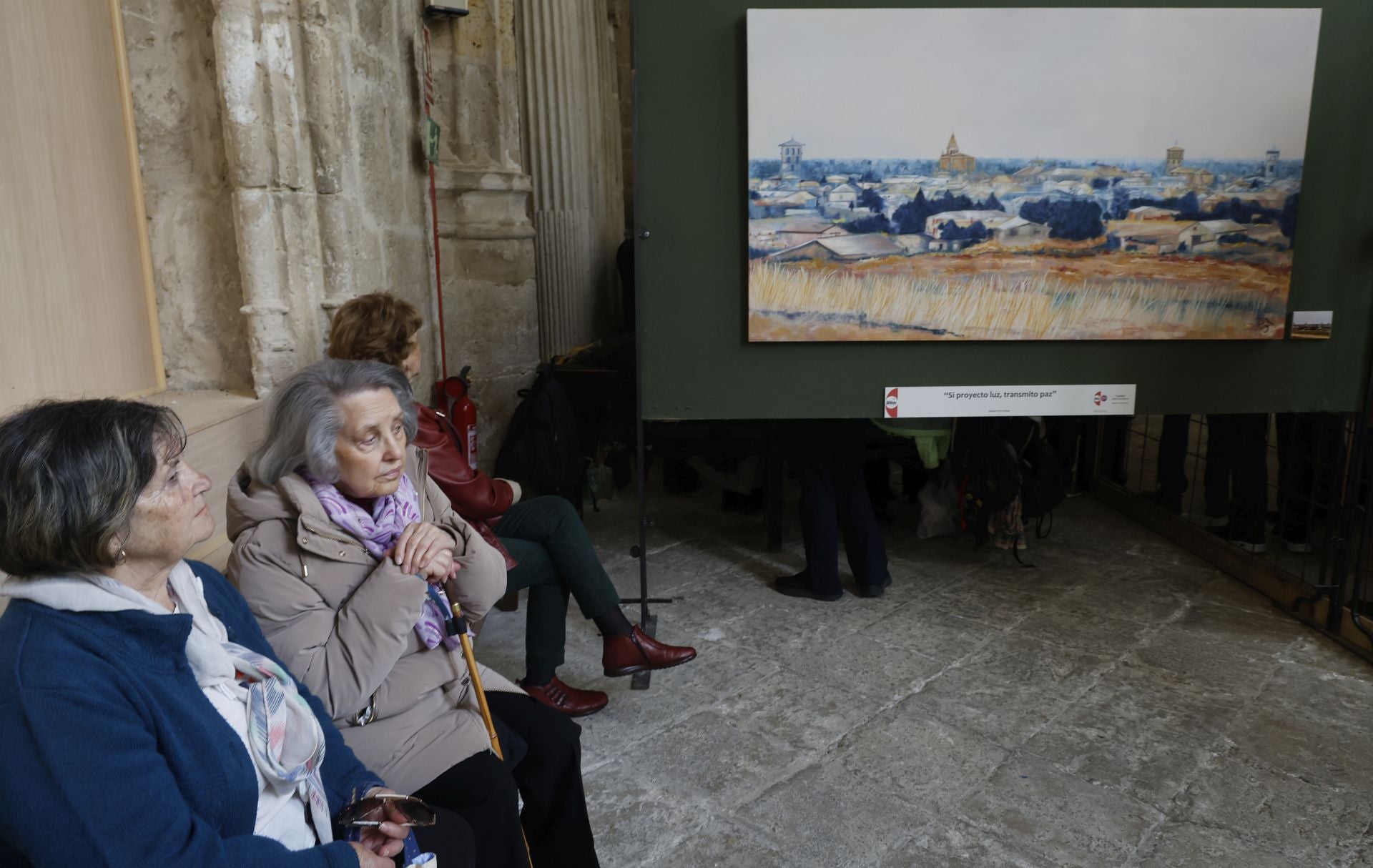 Una mirada a la Palencia rural desde la Catedral