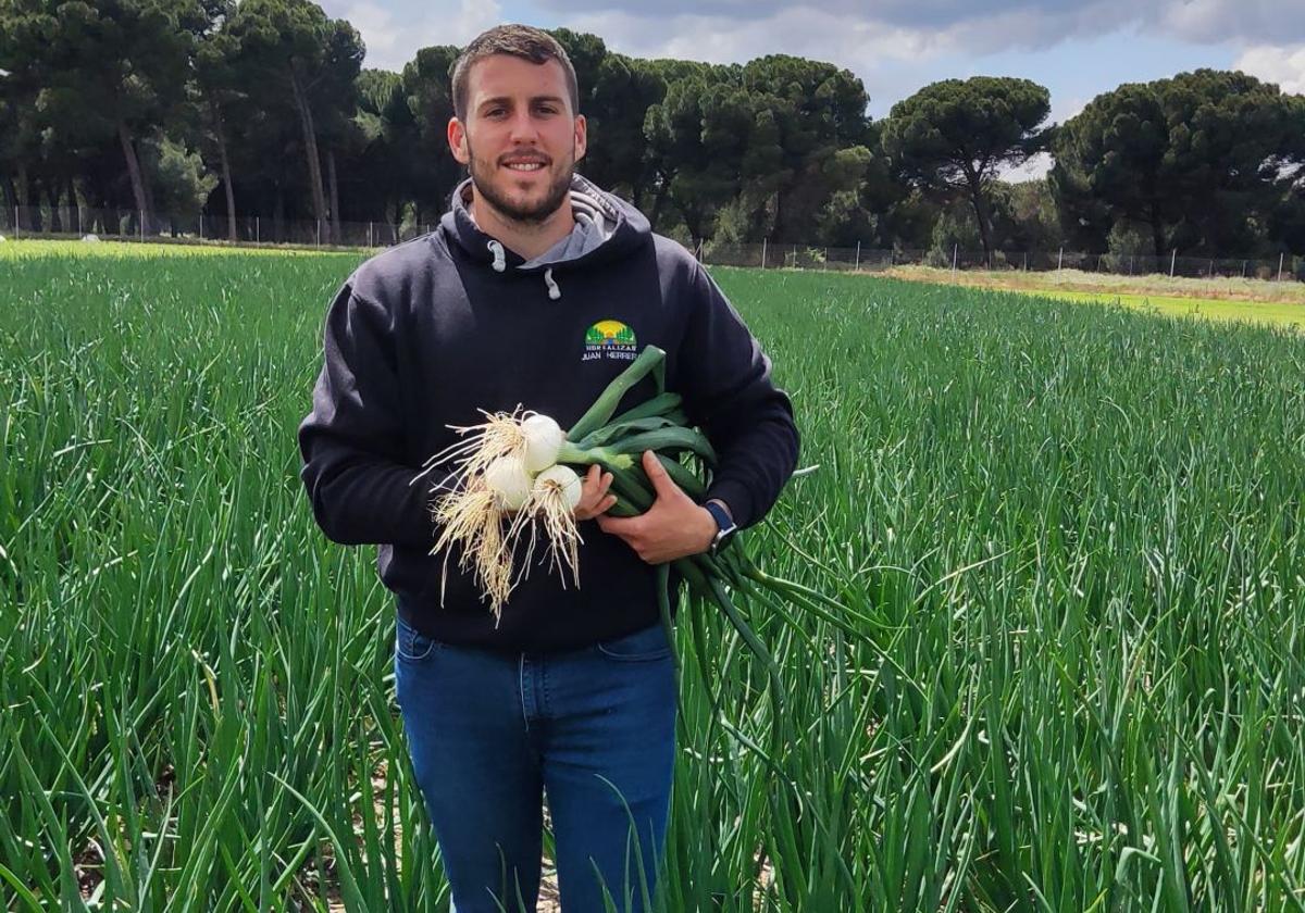 Jorge muestra las cebollas que luego se venden en el mercado central de Valladolid.