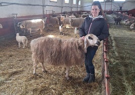 Marina Lázaro en su trabajo diario con las ovejas en Oquillas (Burgos).