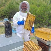 Francisco José González con los panales que tiene instalados en Torrelobatón.