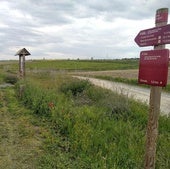 Estado del sendero verde del Eresma a su paso por Olmedo.