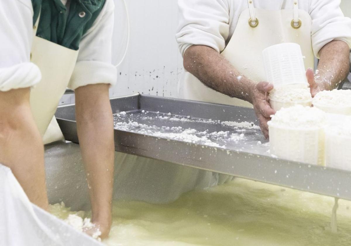 Elaboración de queso.