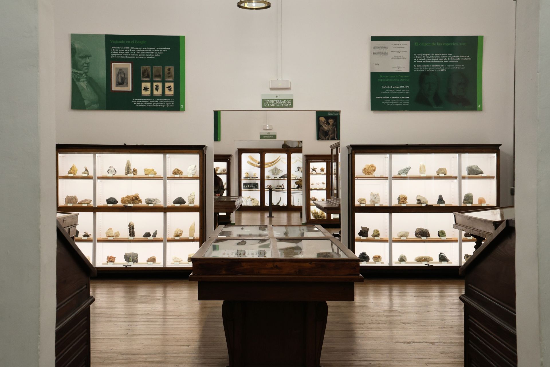Vista general de la sala de minerales del Museo de Ciencias Naturales