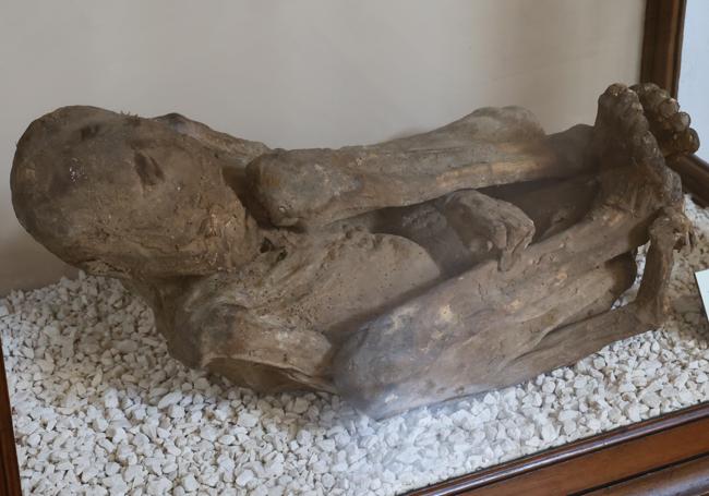 La momia extraída de una expedición española en el desierto de Atacama.