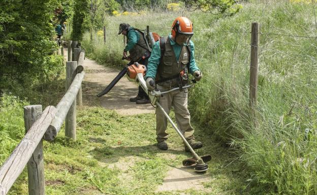 Jardineros de la Unidad Espercial, en plena faena.