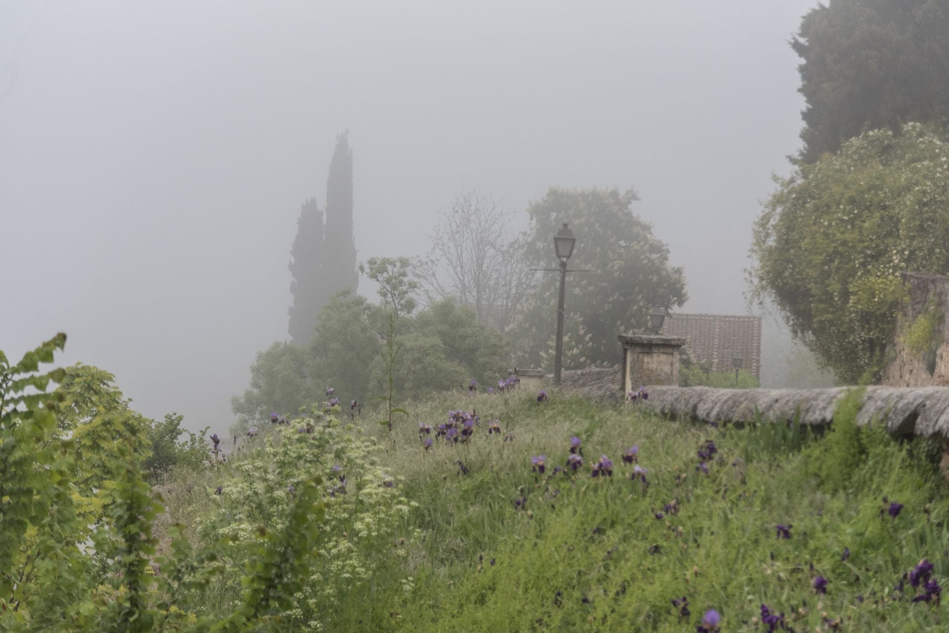 Fotos: Segovia amanece envuelta en niebla