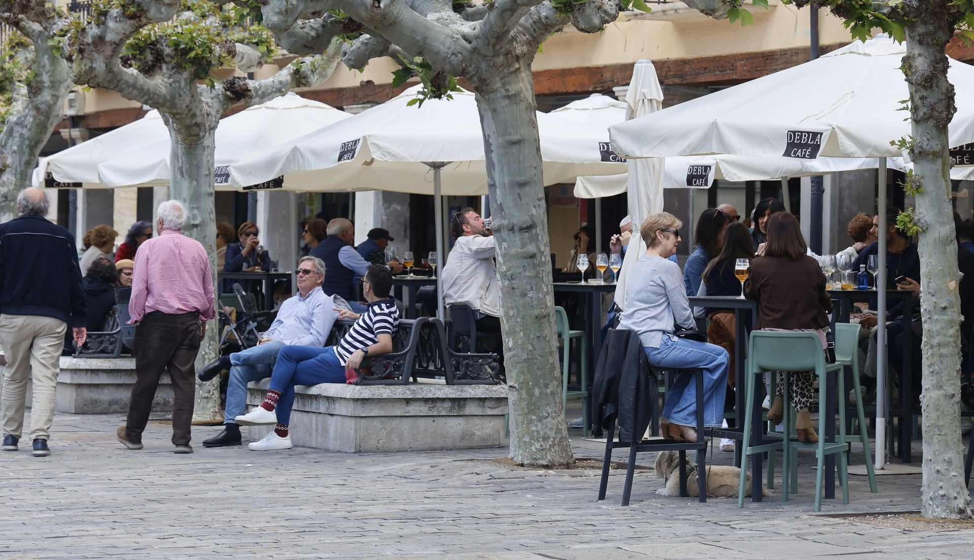 El buen tiempo anima las terrazas hosteleras en Palencia