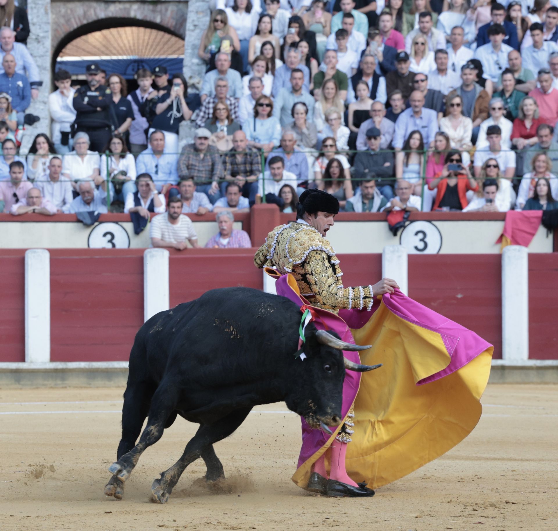 Las imágenes de la corrida de toros en Valladolid