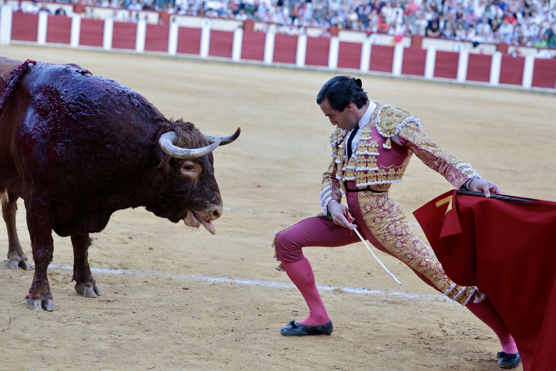 Las imágenes de la corrida de toros en Valladolid