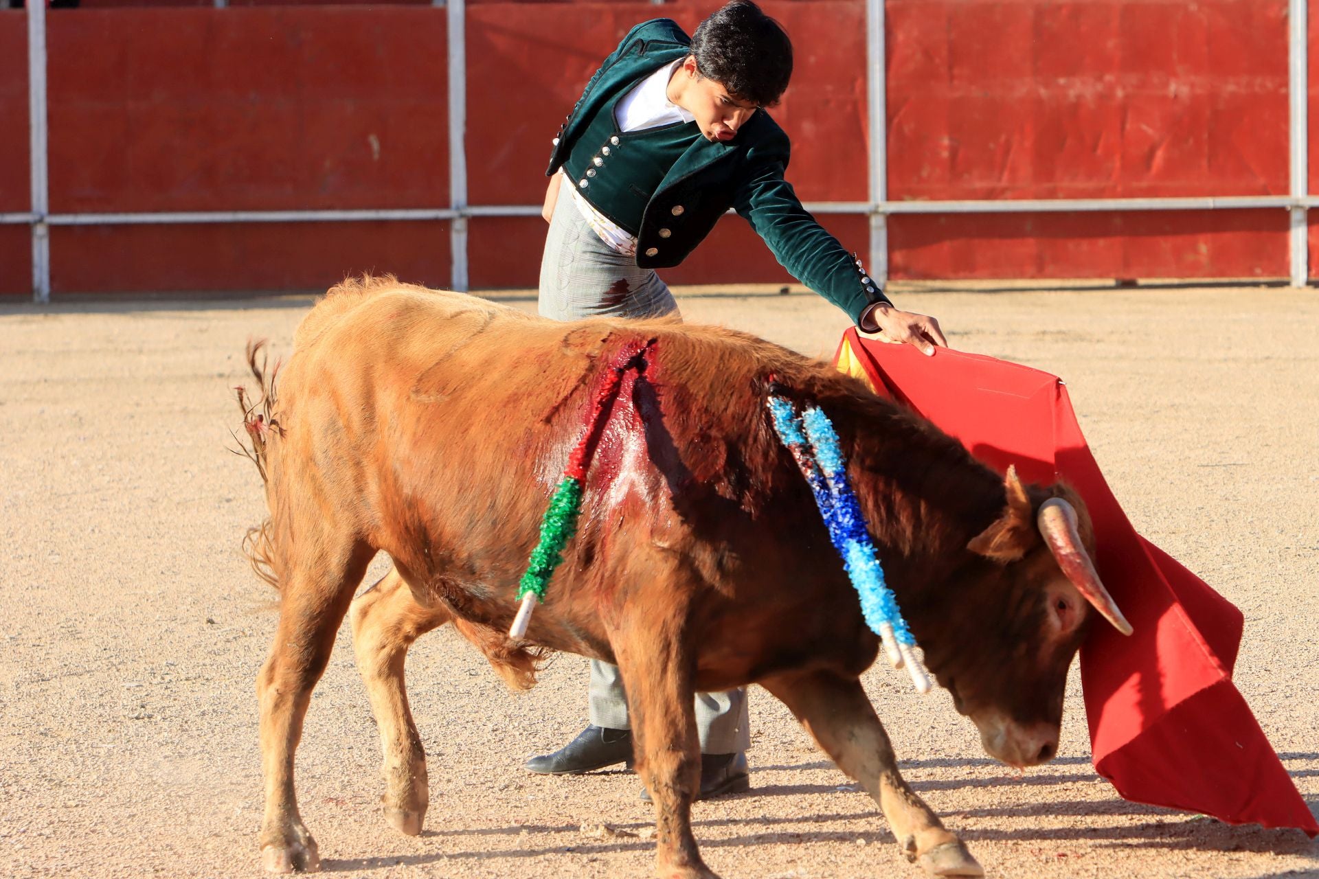 El festival taurino en La Lastrilla, en imágenes