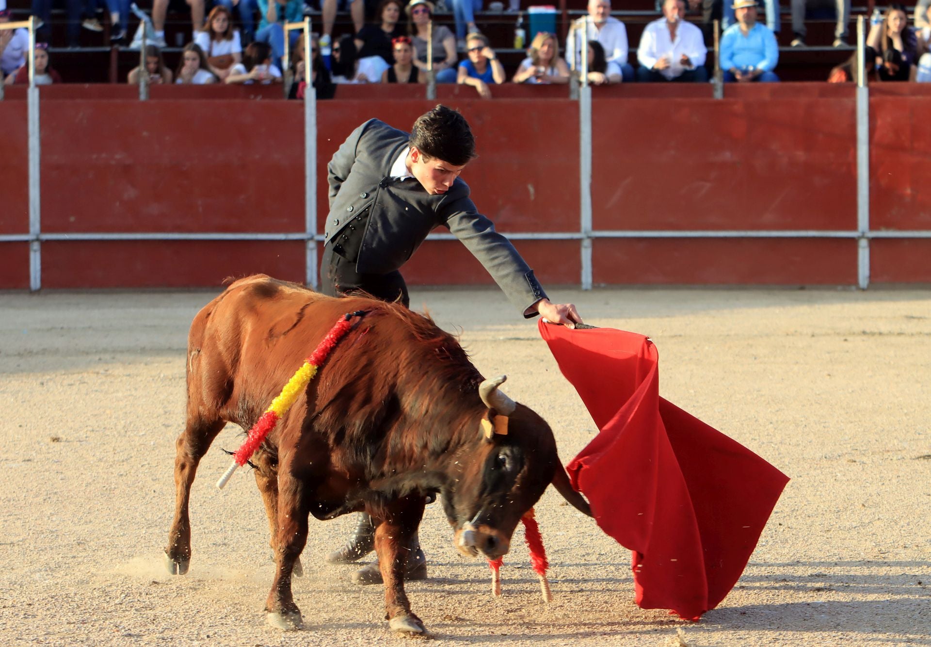 El festival taurino en La Lastrilla, en imágenes