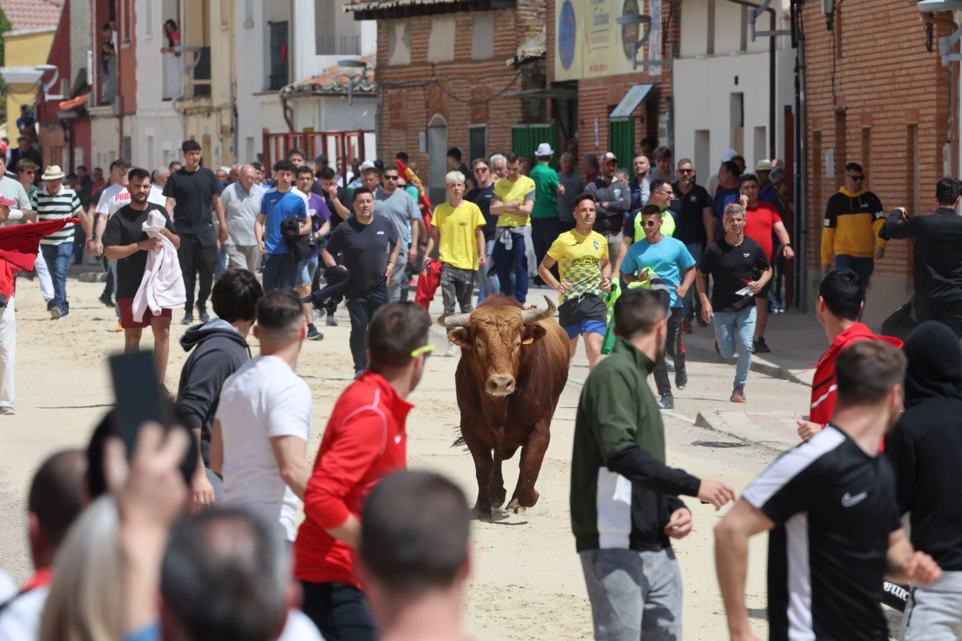 Encierro del domingo por la mañana en Valdestillas