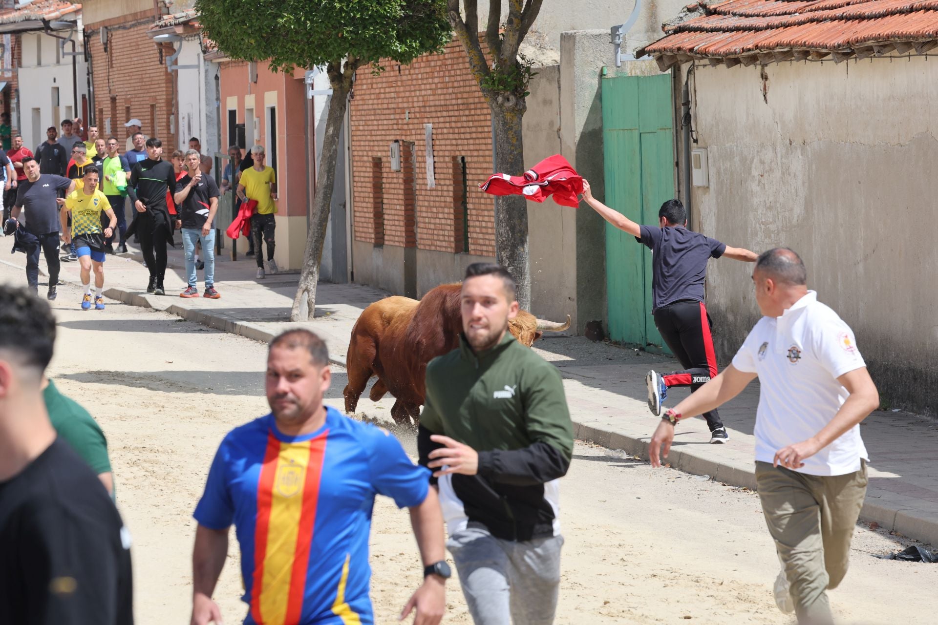 Encierro del domingo por la mañana en Valdestillas