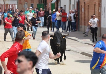 Una imagen del festejo matutino de Valdestillas.