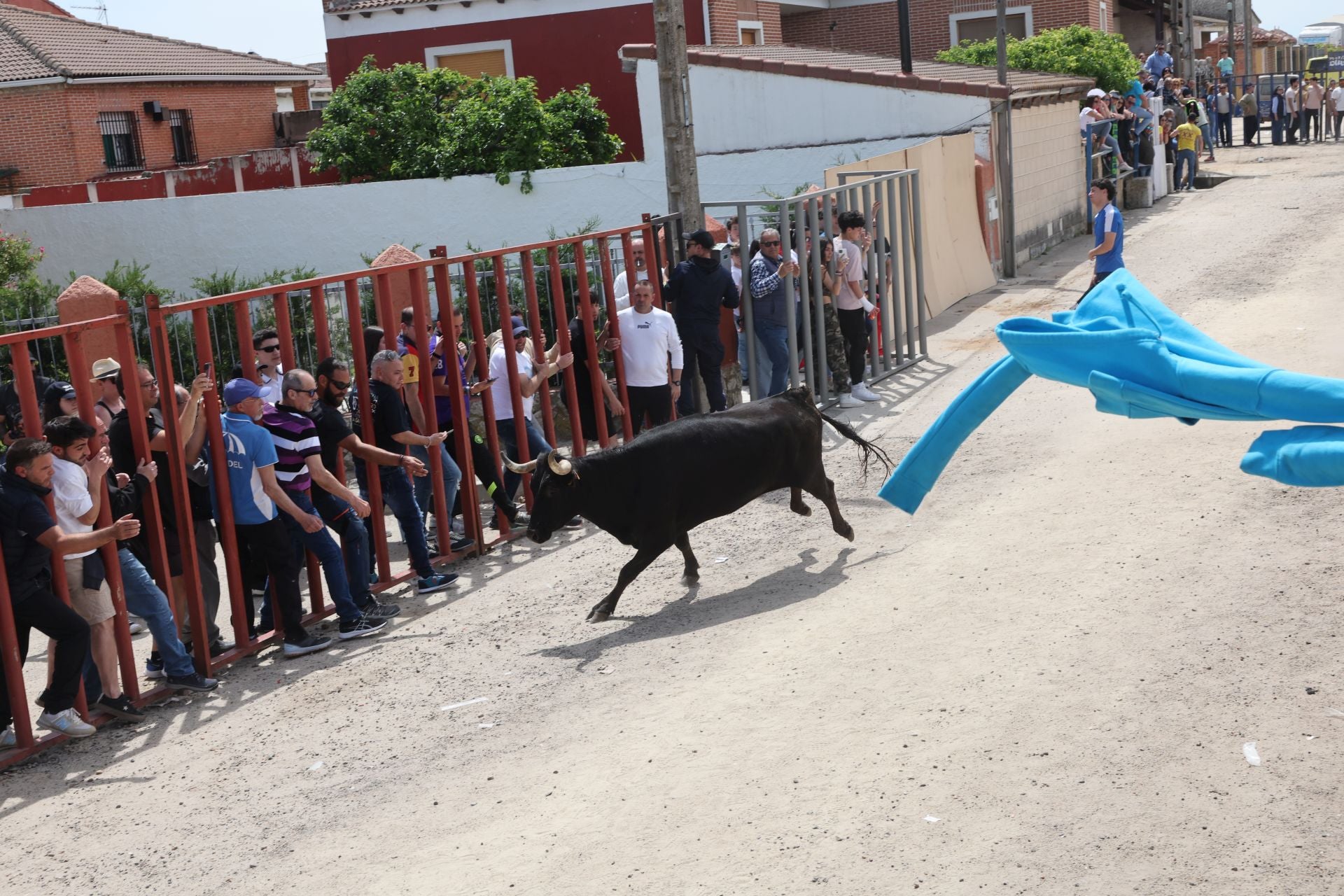 Encierro del domingo por la mañana en Valdestillas