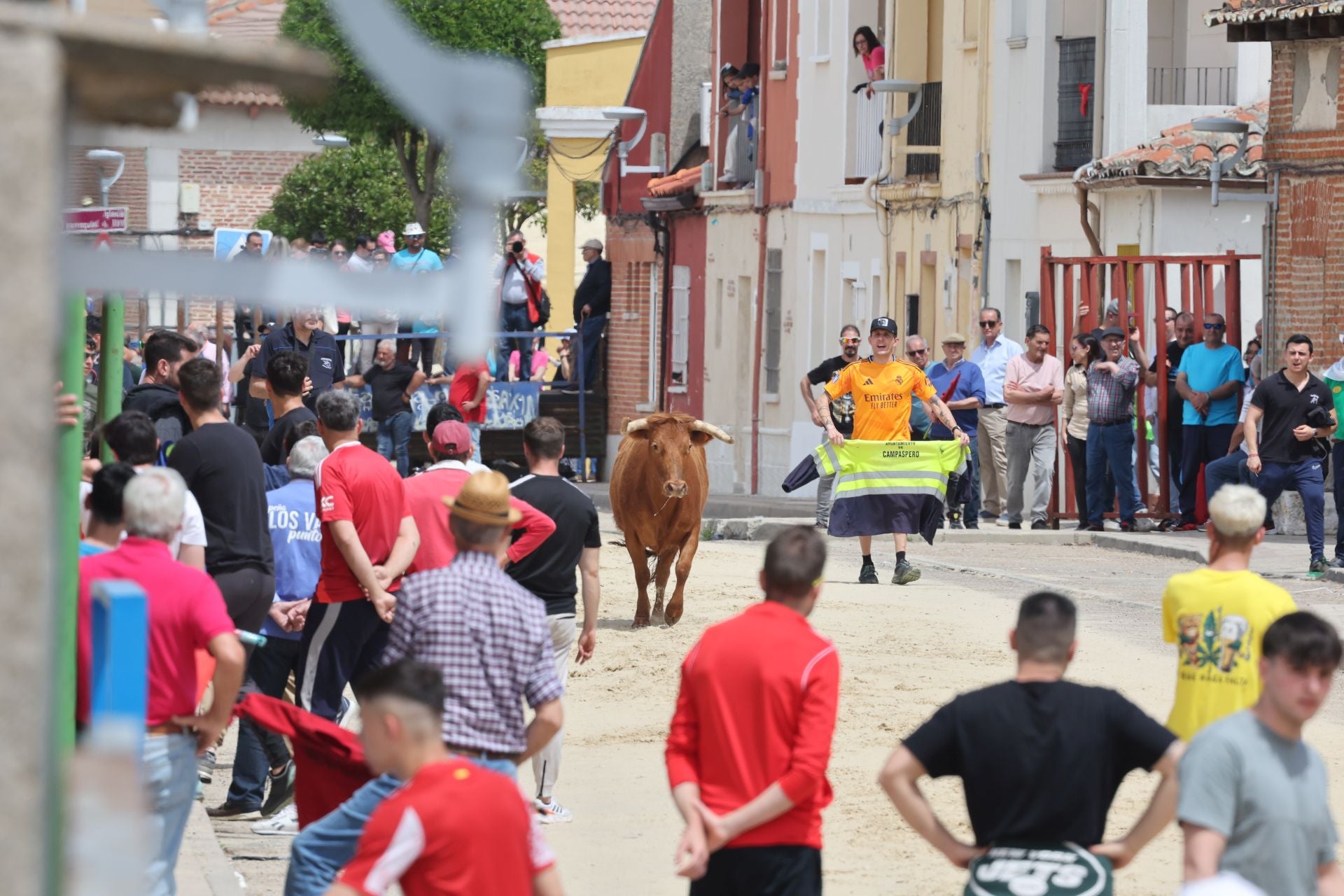 Encierro del domingo por la mañana en Valdestillas