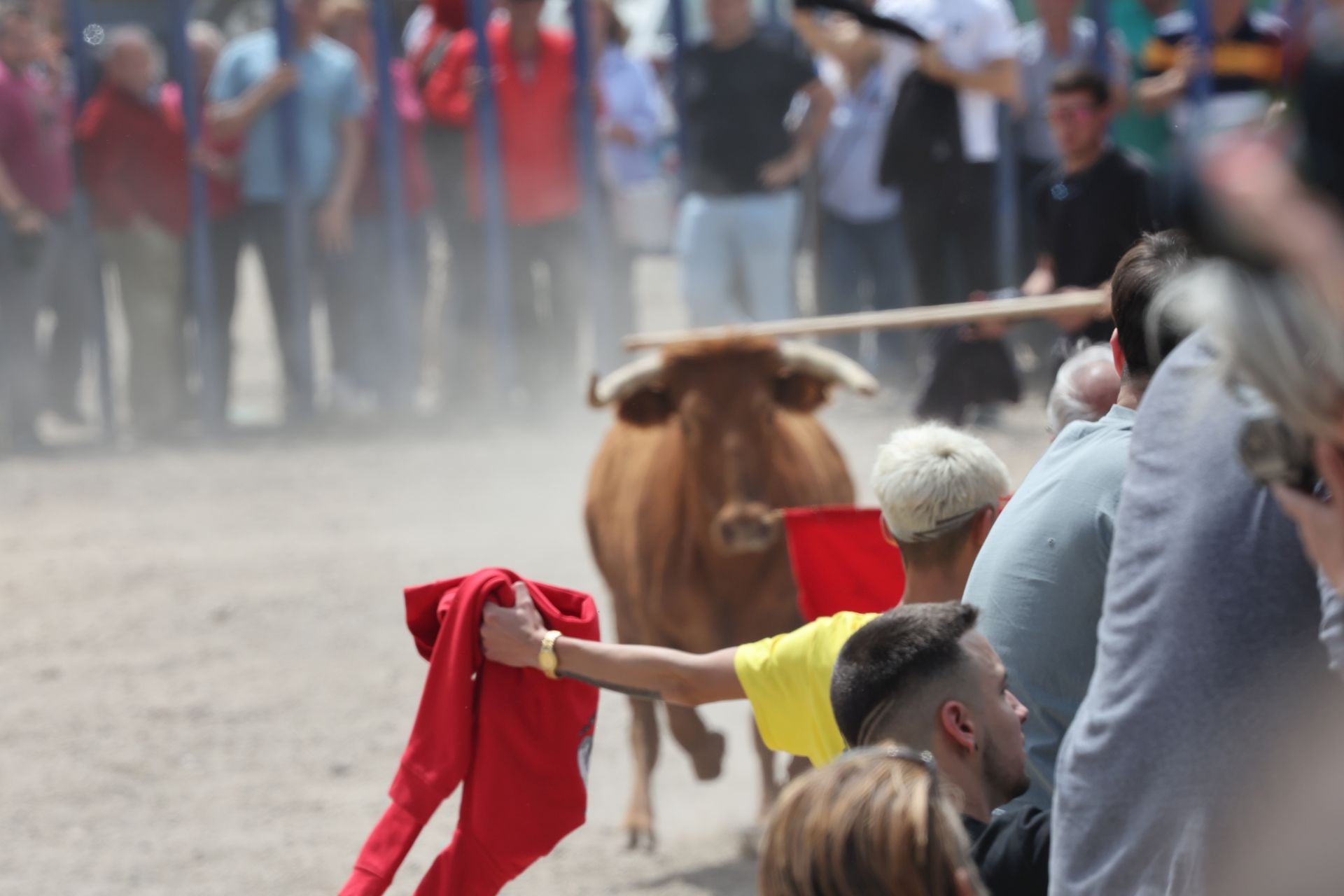 Encierro del domingo por la mañana en Valdestillas